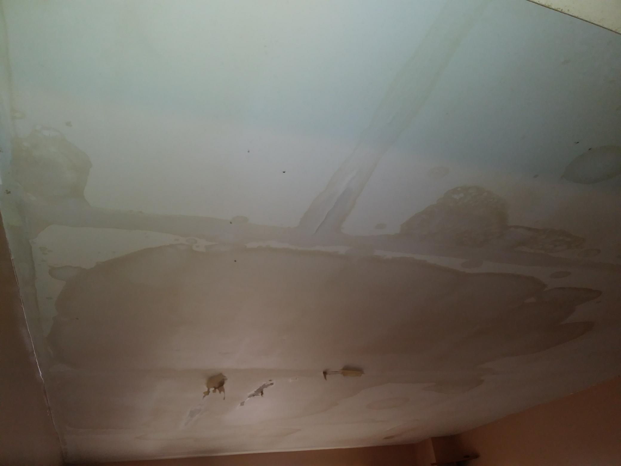 Water damage cleanup near me.