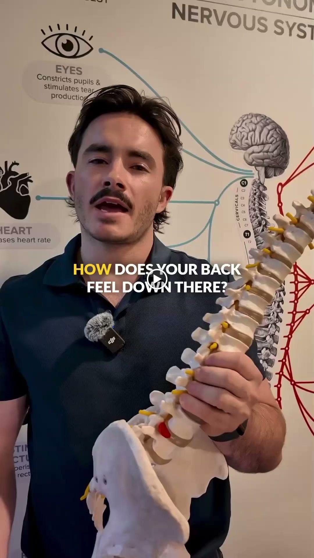 Images North Fremantle Chiropractic