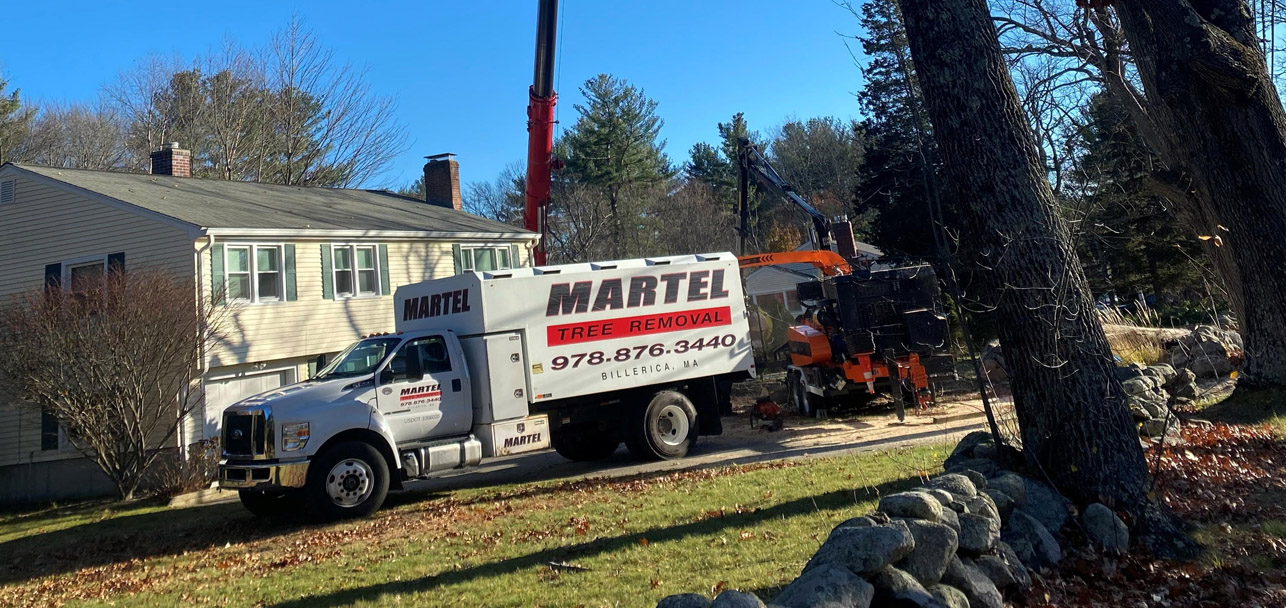 Martel Crane Service & Tree Removal Image