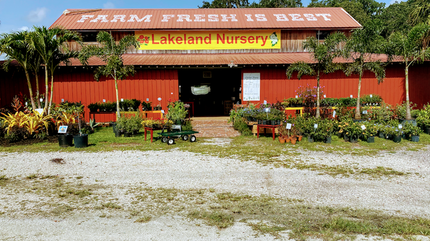 Images Lakeland Nursery