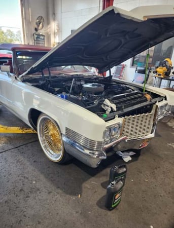 Images Blue Collar Automotive Repair