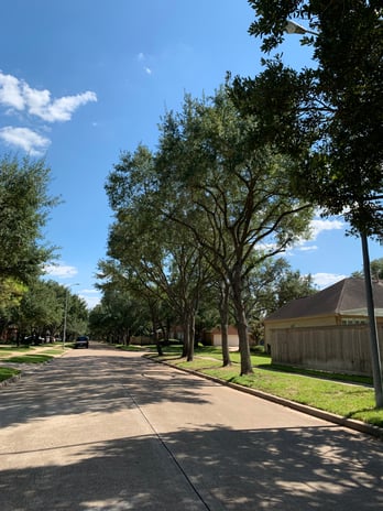 Images Miguel tree service