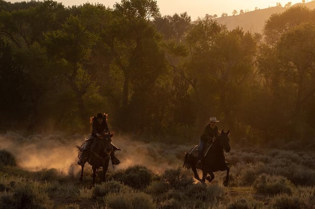 Images CM Ranch