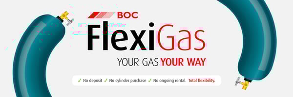 Flexigas offer