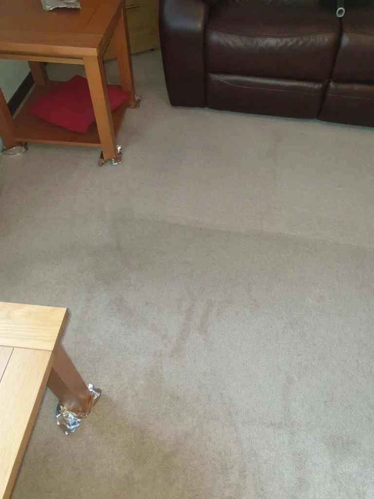 Images Johnshaven Carpet Cleaning Services