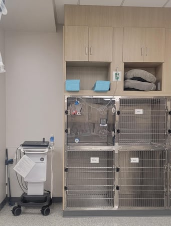 Images VCA Animal Hospitals Urgent Care - Mira Mesa