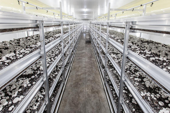 Images Societa' Agricola Porretta - Le Ghiottone