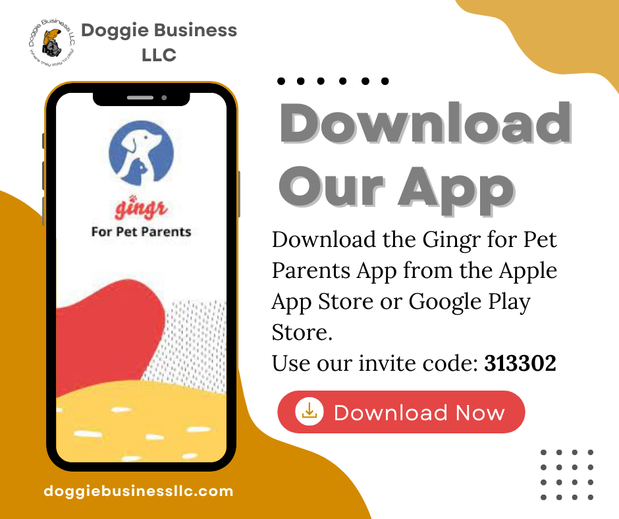 Images Doggie Business, LLC