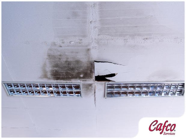 Images Cafco Services