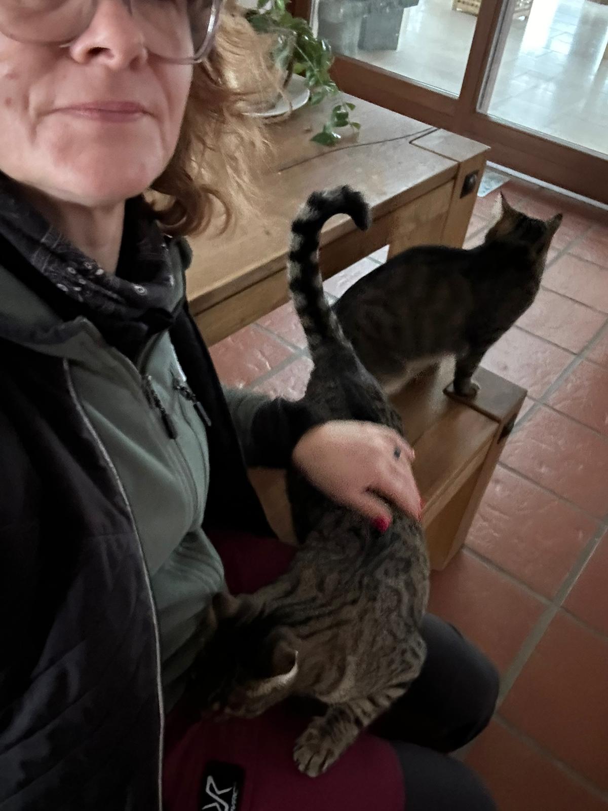 Pet-Relax, Unter Den Hollen 3 in Duggingen