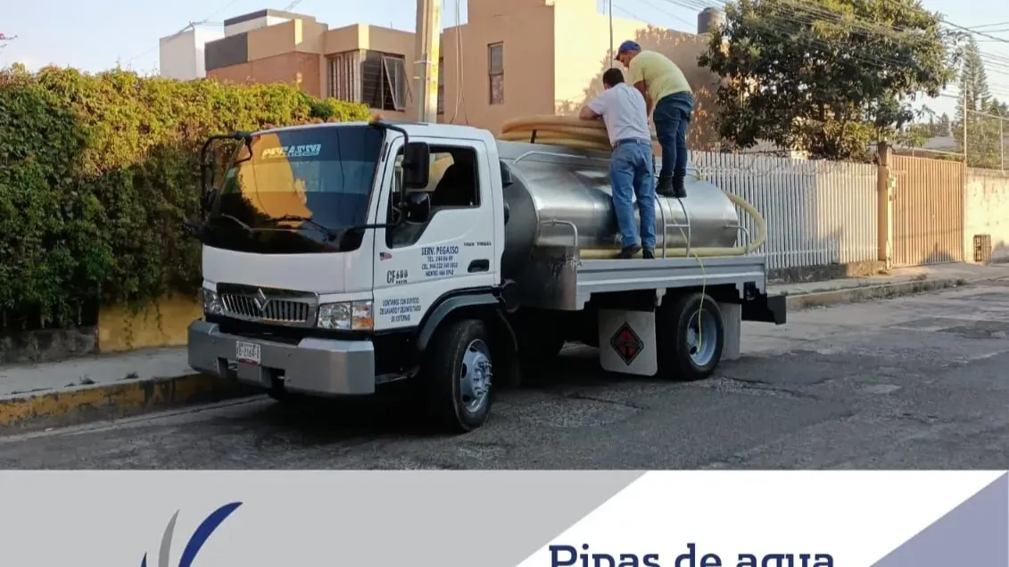 Images Pegasso