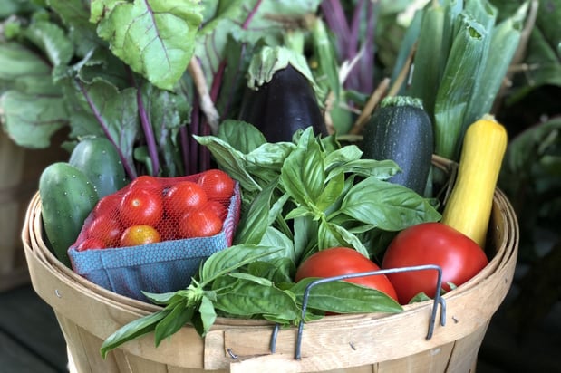 Images Von Thun Farms