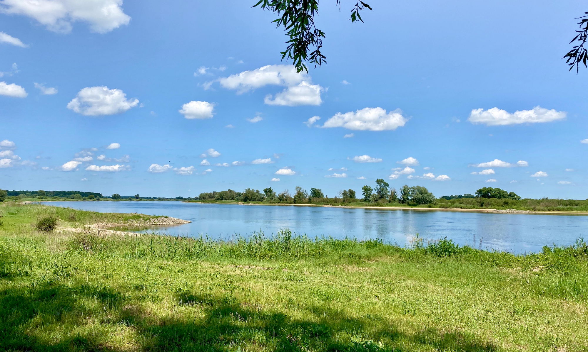 Bestattungen Herzog, Lüneburger Straße 29 in Winsen (Luhe)