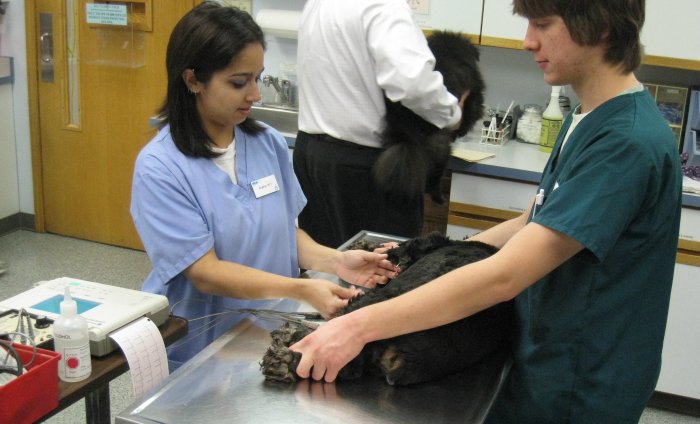 Images VCA College Hill Animal Hospital