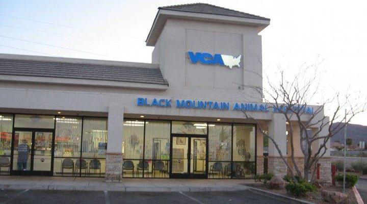 Image 10 | VCA Black Mountain Animal Hospital