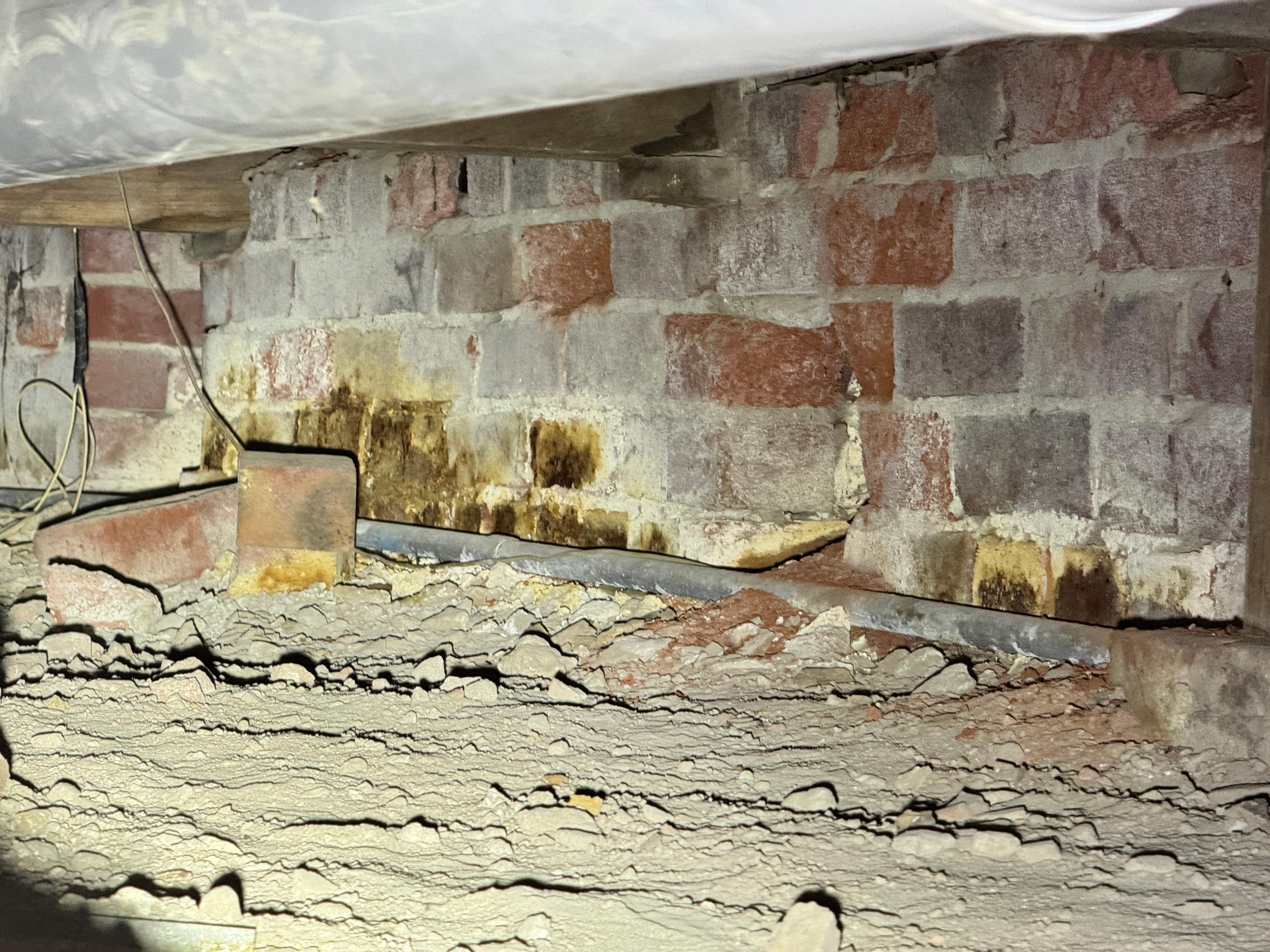Images ACE Building and Pest Inspection