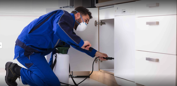 Images All South Pest Control