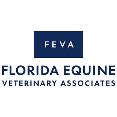 Florida Equine Veterinary Associates