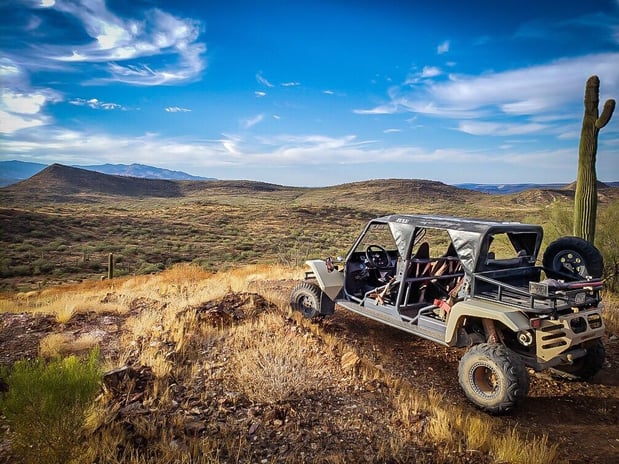 Images Desert Wolf Tours