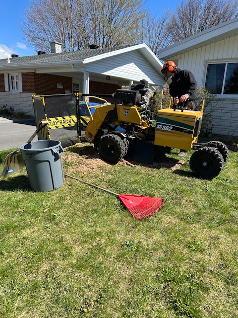 Images Arboriculture DB Inc.