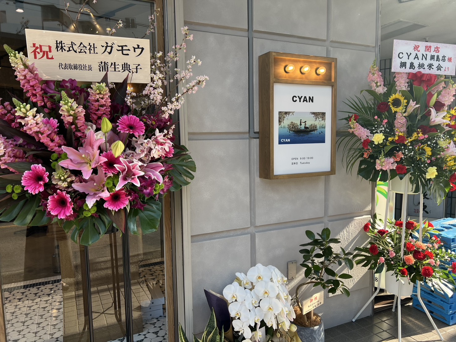 Images CYAN 綱島店