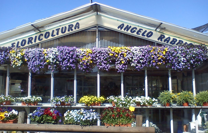 Images Floricoltura Rabbiosi Angelo
