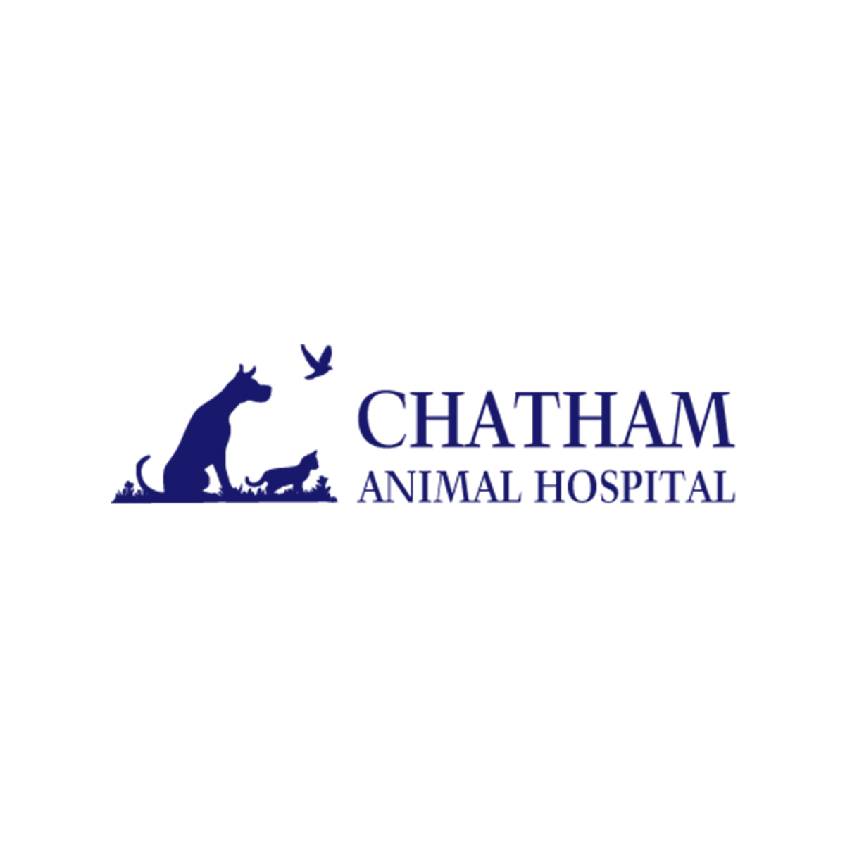 Chatham Animal Hospital - Cary, NC 27513 - (919)469-8114 | ShowMeLocal.com
