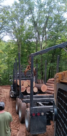 Images Rucker Logging and Excavation