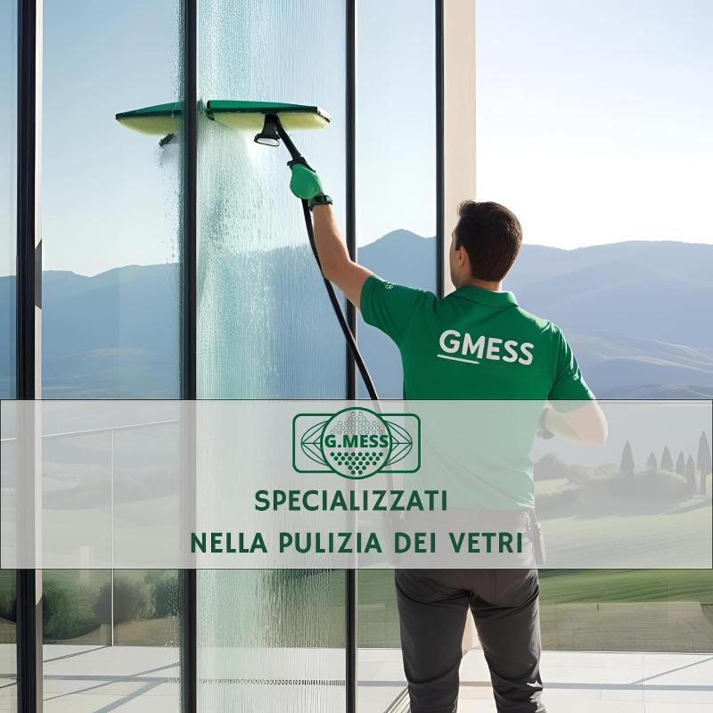 Images G. Mess Impresa di Pulizie e Disinfestazioni