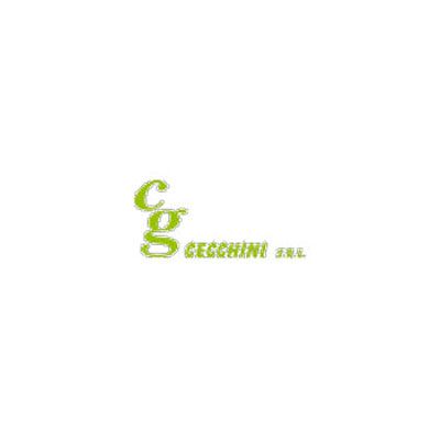 Cg Cecchini Logo