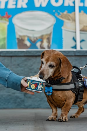 Images Dutch Bros Coffee