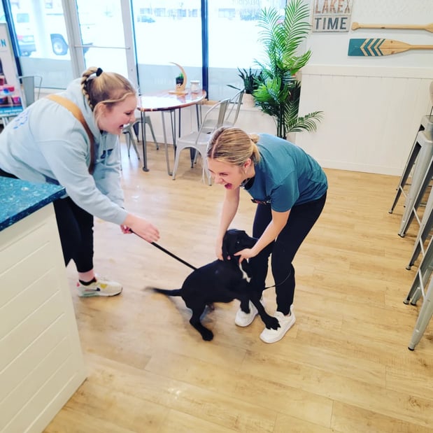 Images Nautical Bowls