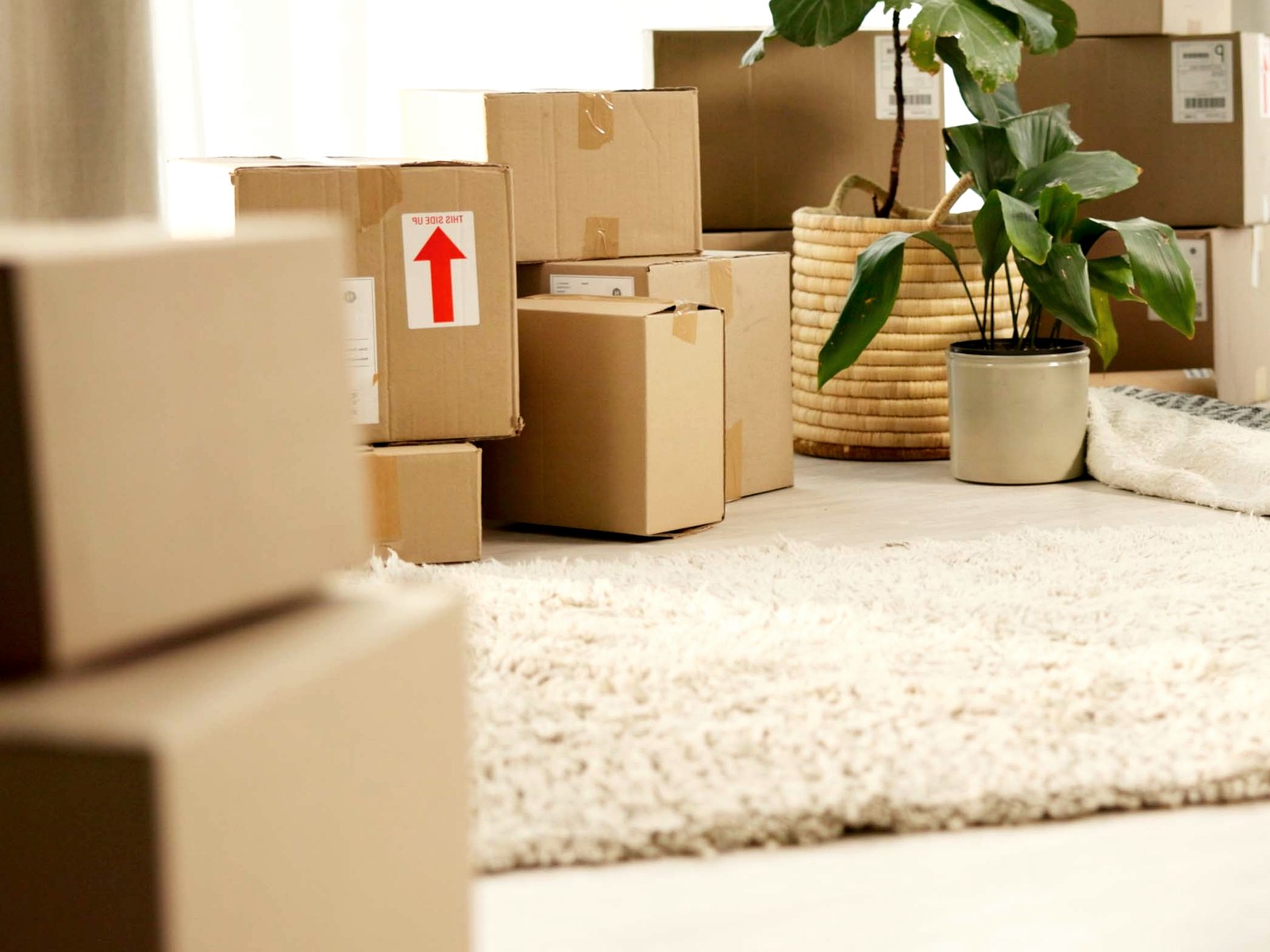 Minneapolis Relocation Movers Services