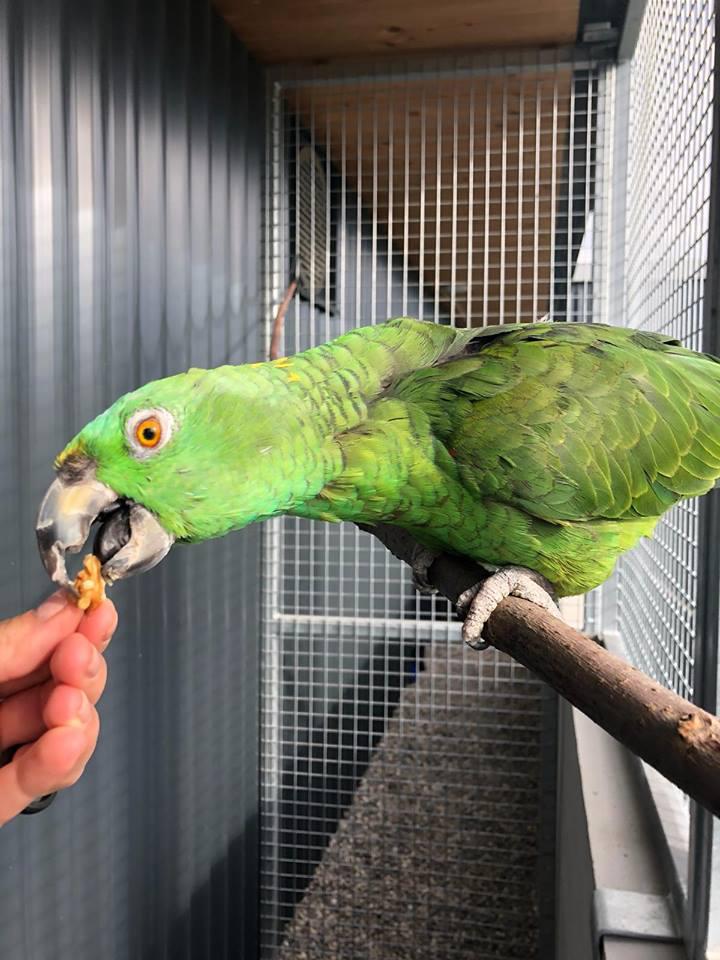 Tierhotel 5 Stern, Grienackerweg 3 in Niedergösgen