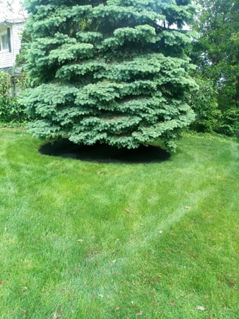 Images MRK Landscaping & Snowplowing