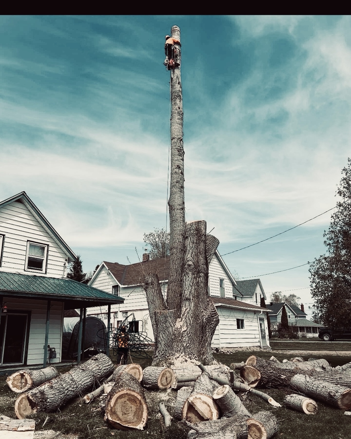 Images Gee's Trees Inc.