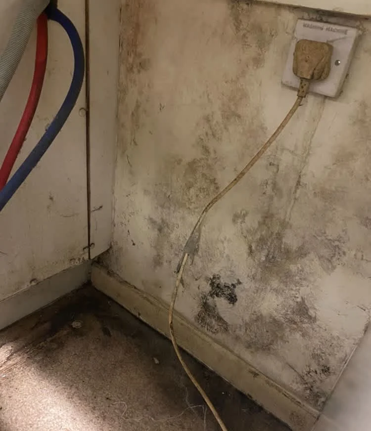Images Housing Disrepair Experts