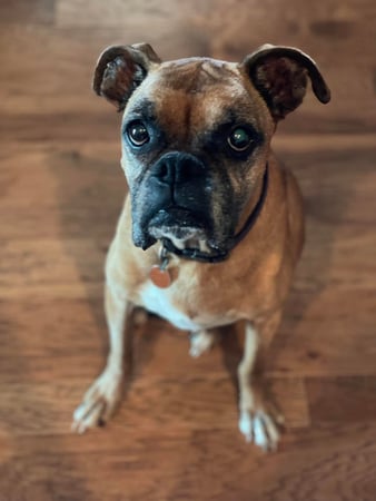 Images Valerie Bean - State Farm Insurance Agent