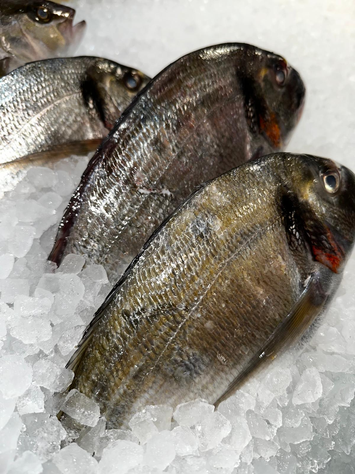 Images Peixateria de la Iaia Antònia