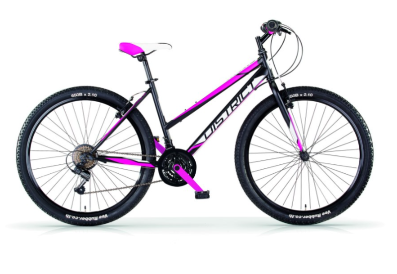 Images Ciclidea