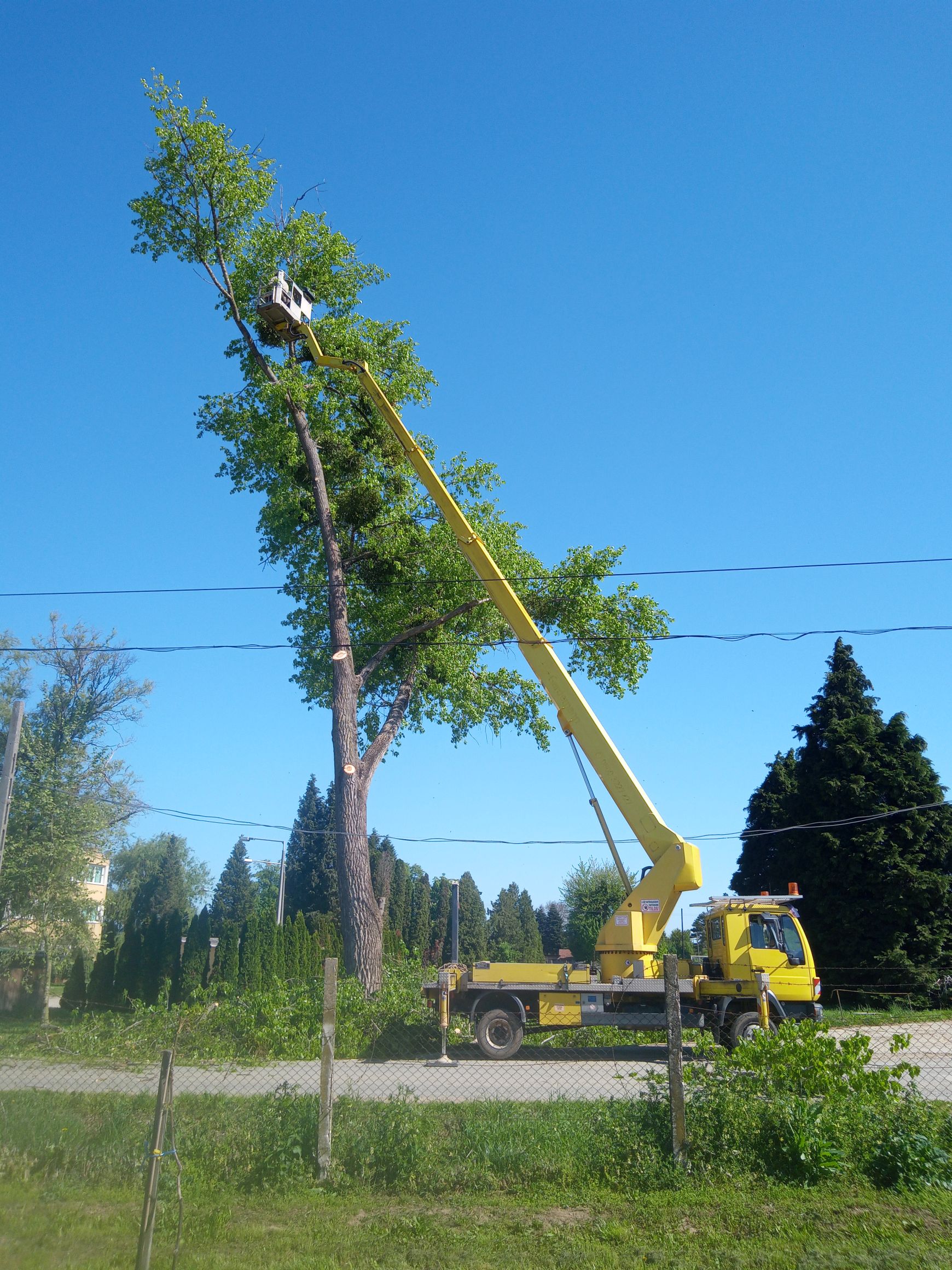 Images Veszélyes fák kivágása,Emelőkosaras daruzás,Fakitermelés - Megyes Ernő