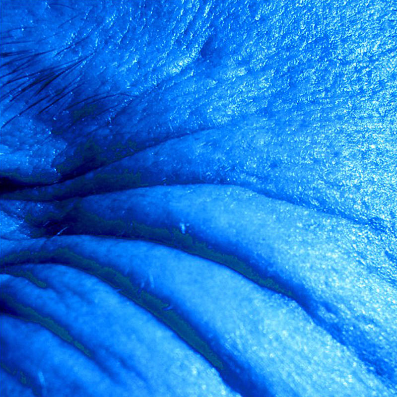 Images Sovran Dr. Alessandro