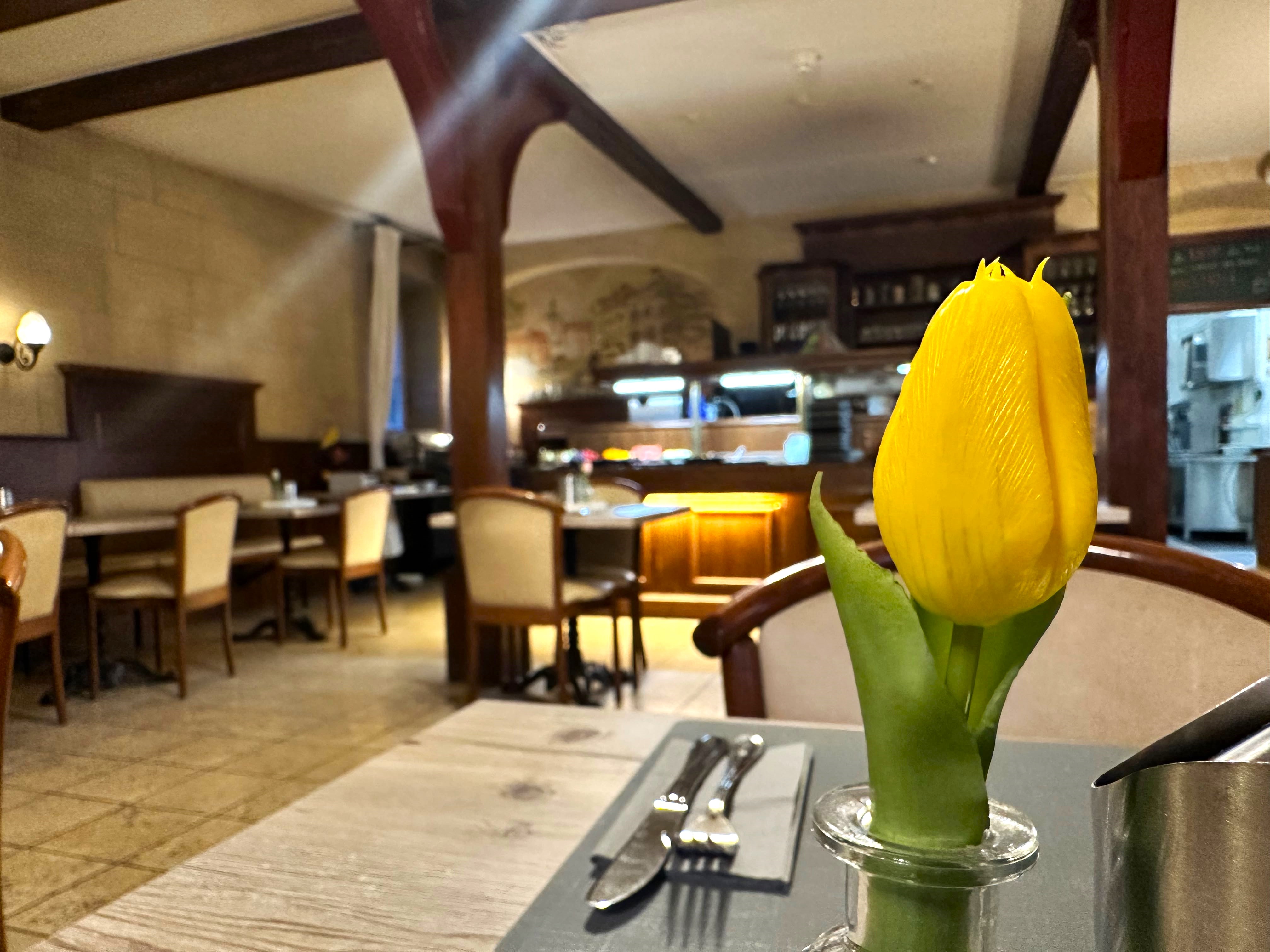 Bild 36 eXo Hotel Franka Bamberg - by Nevo Hotels in Hallstadt