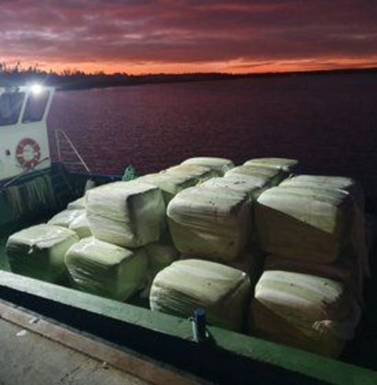 Images Leejs Foder AB