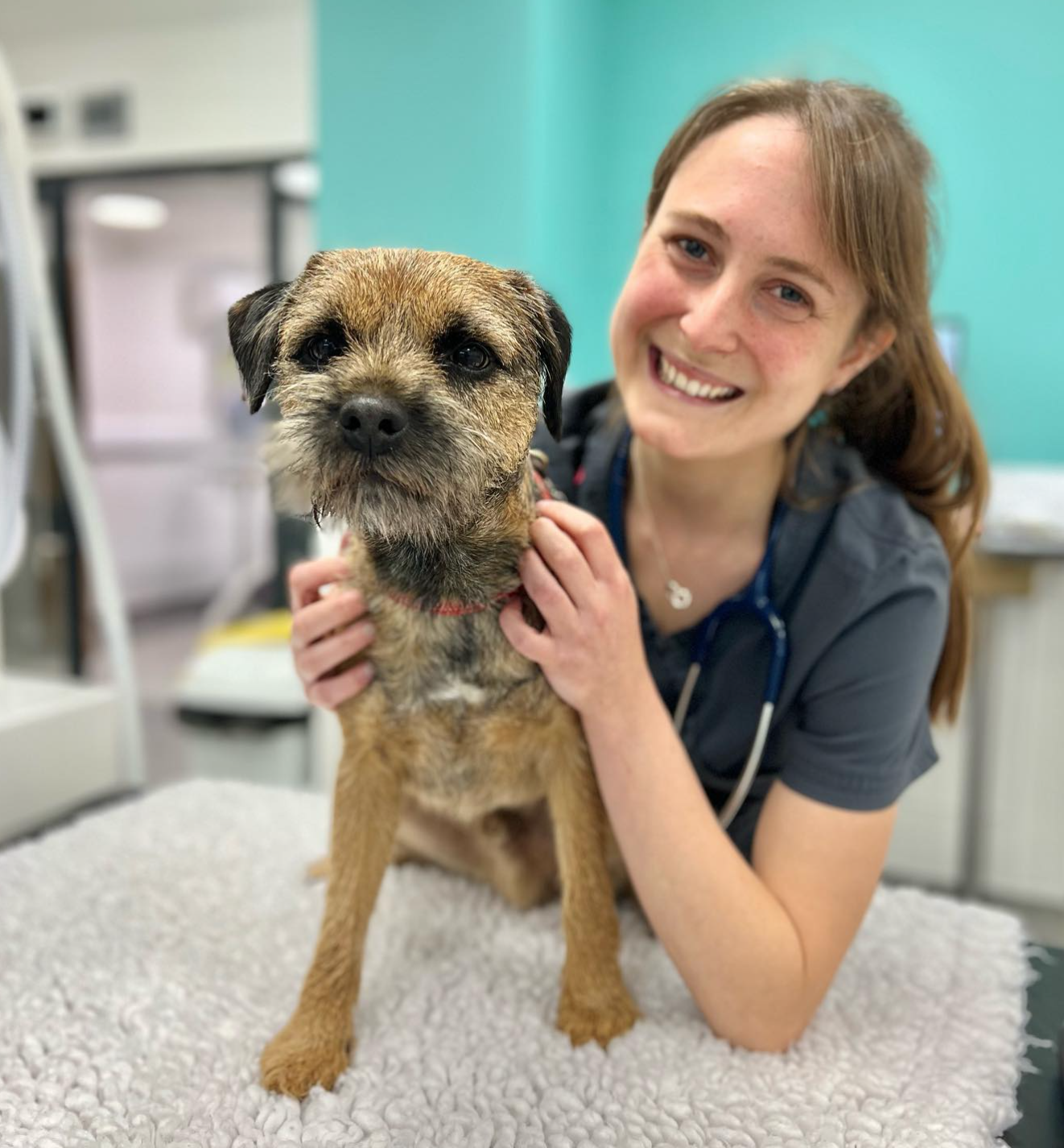 Images Pet People Vets - East Sheen