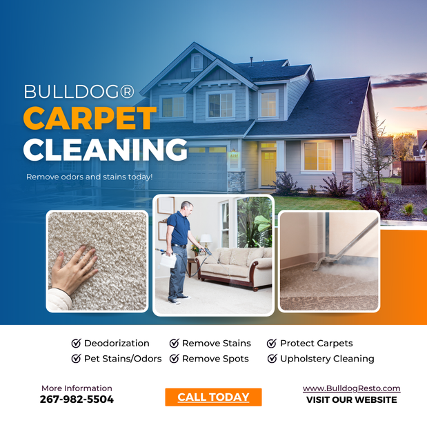 Images Bulldog Cleaning & Restoration