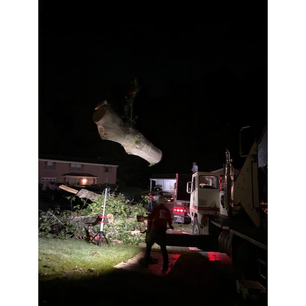 Images Grant Brothers Tree Service