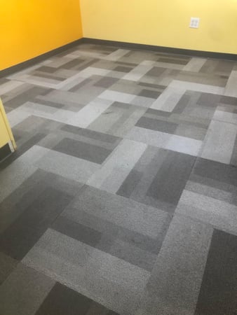 Images Fresh Carpet Clean Houston