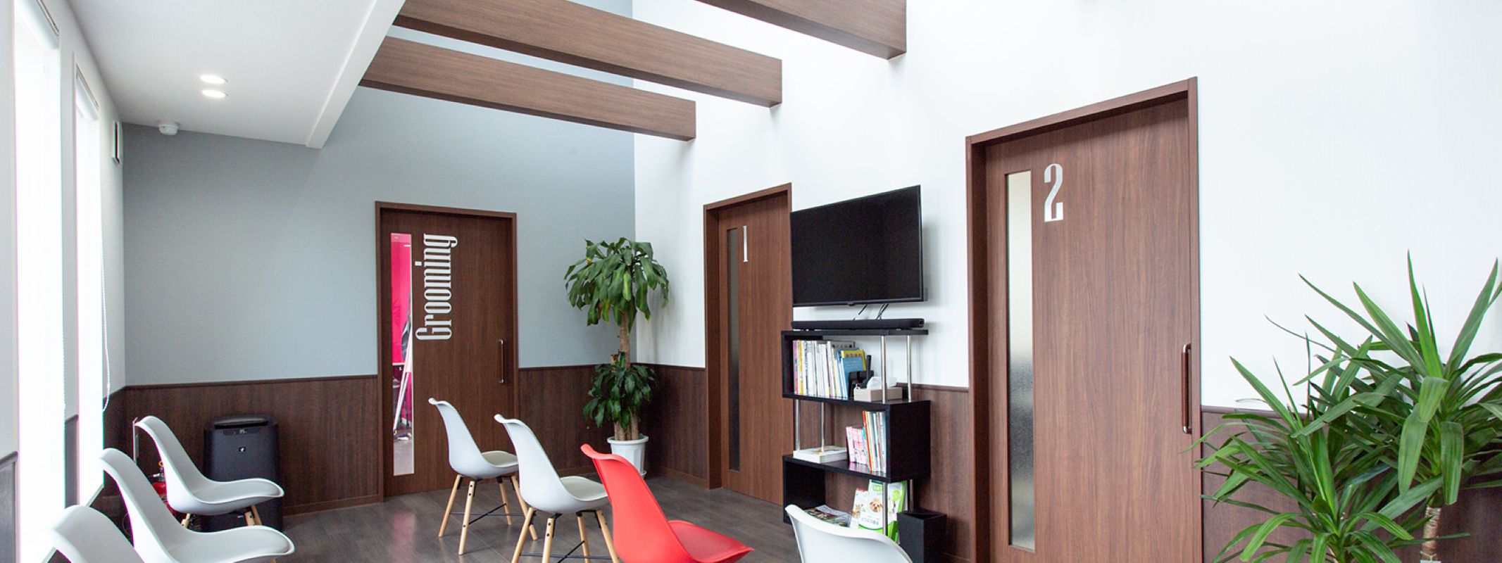 Images アイリス動物医療センター