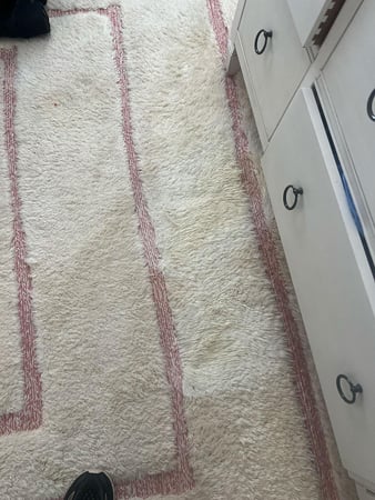 Images Zest Carpet Cleaning